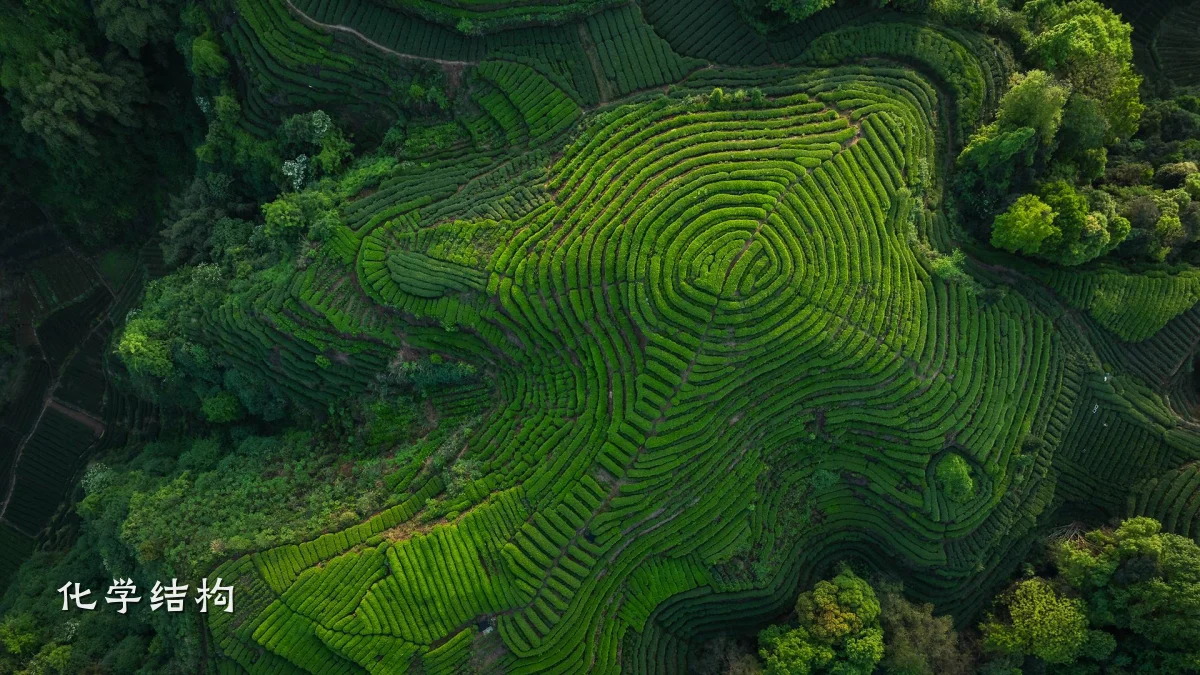 化学结构