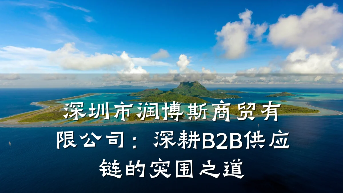 深圳市润博斯商贸有限公司:深耕B2B供应链的突围之道
