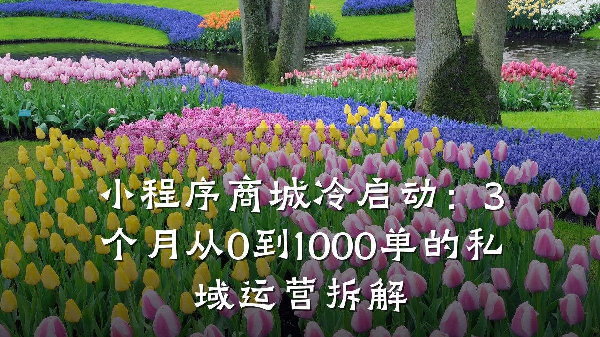 小程序商城冷启动：3个月从0到1000单的私域运营拆解