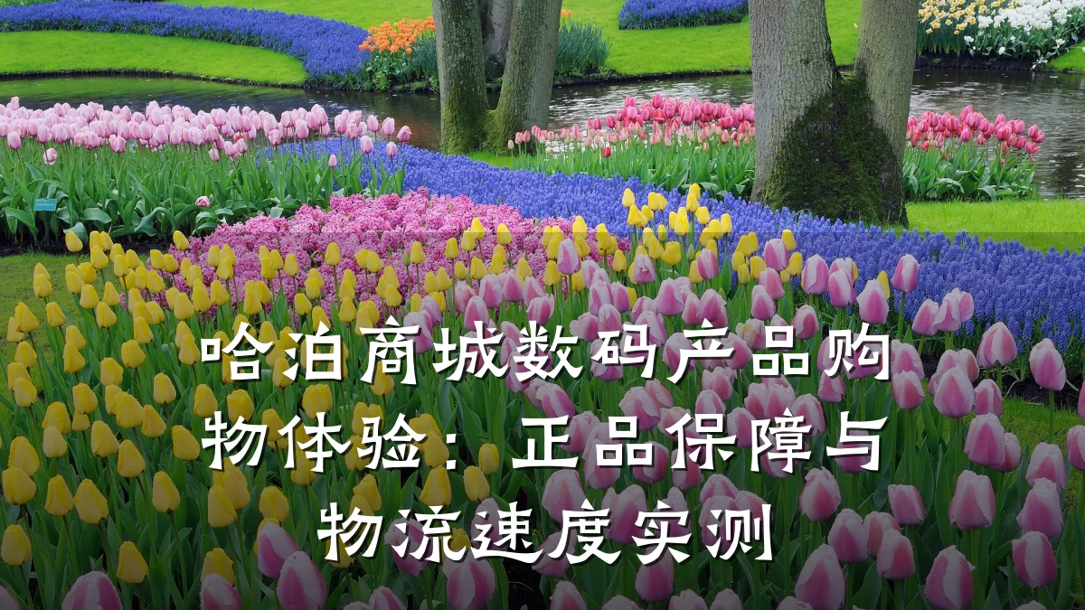 哈泊商城数码产品购物体验:正品保障与物流速度实测