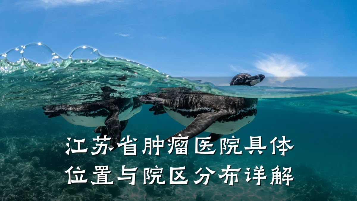 江苏省肿瘤医院具体位置与院区分布详解