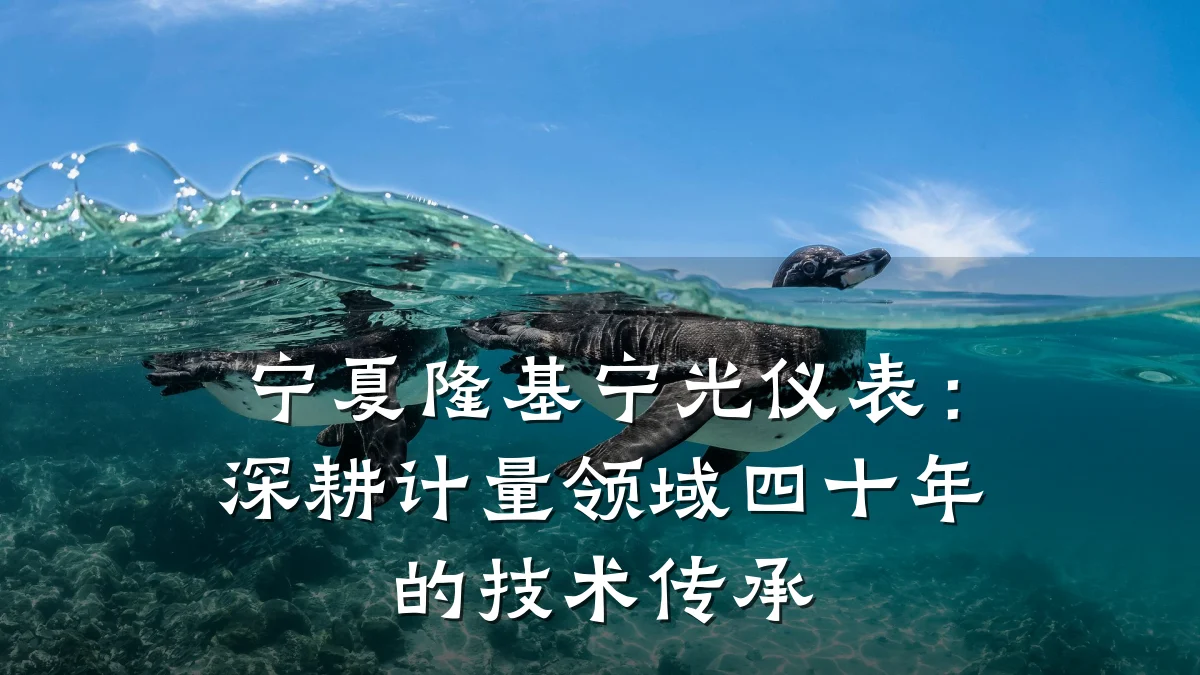 宁夏隆基宁光仪表：深耕计量领域四十年的技术传承