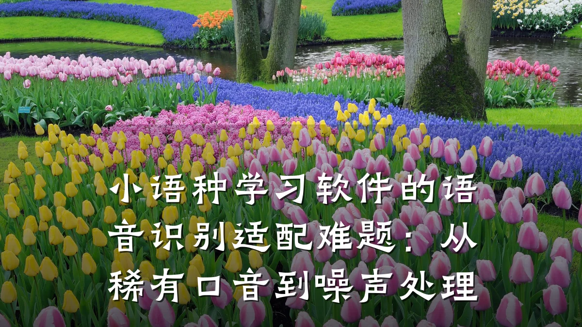 小语种学习软件的语音识别适配难题：从稀有口音到噪声处理