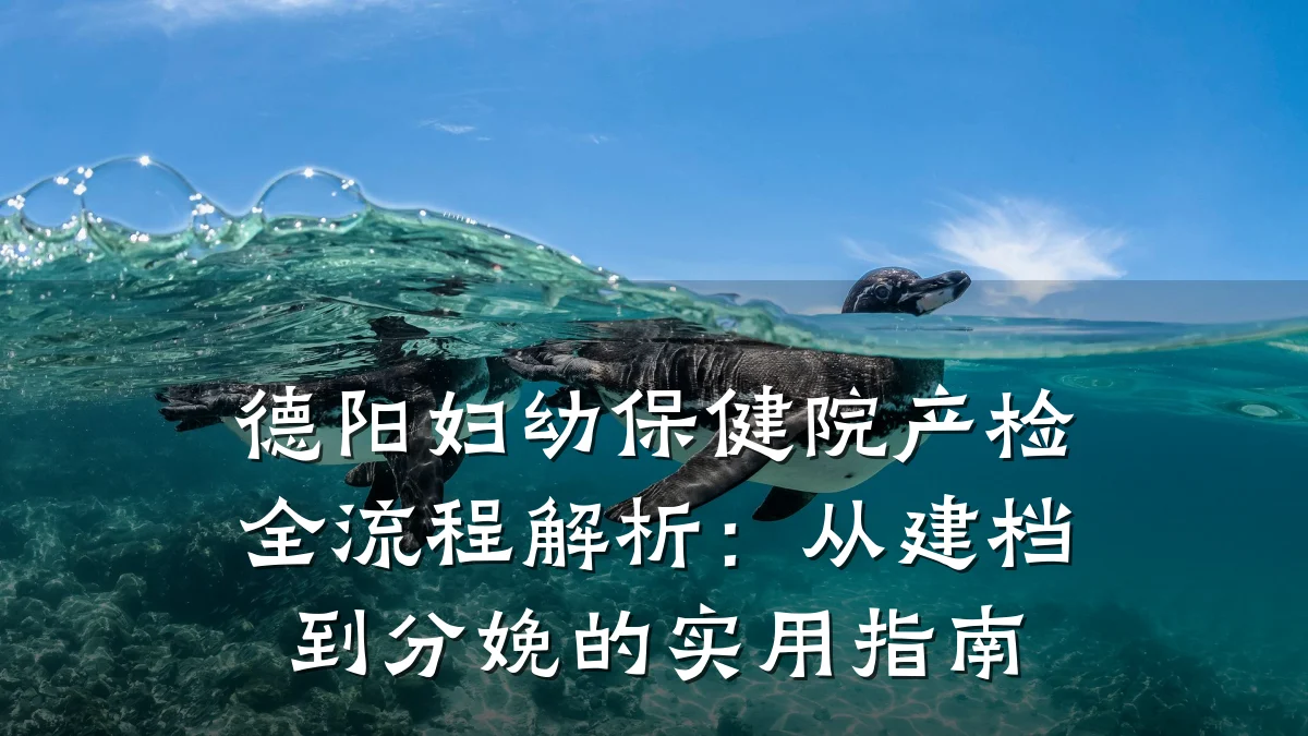 德阳妇幼保健院产检全流程解析：从建档到分娩的实用指南
