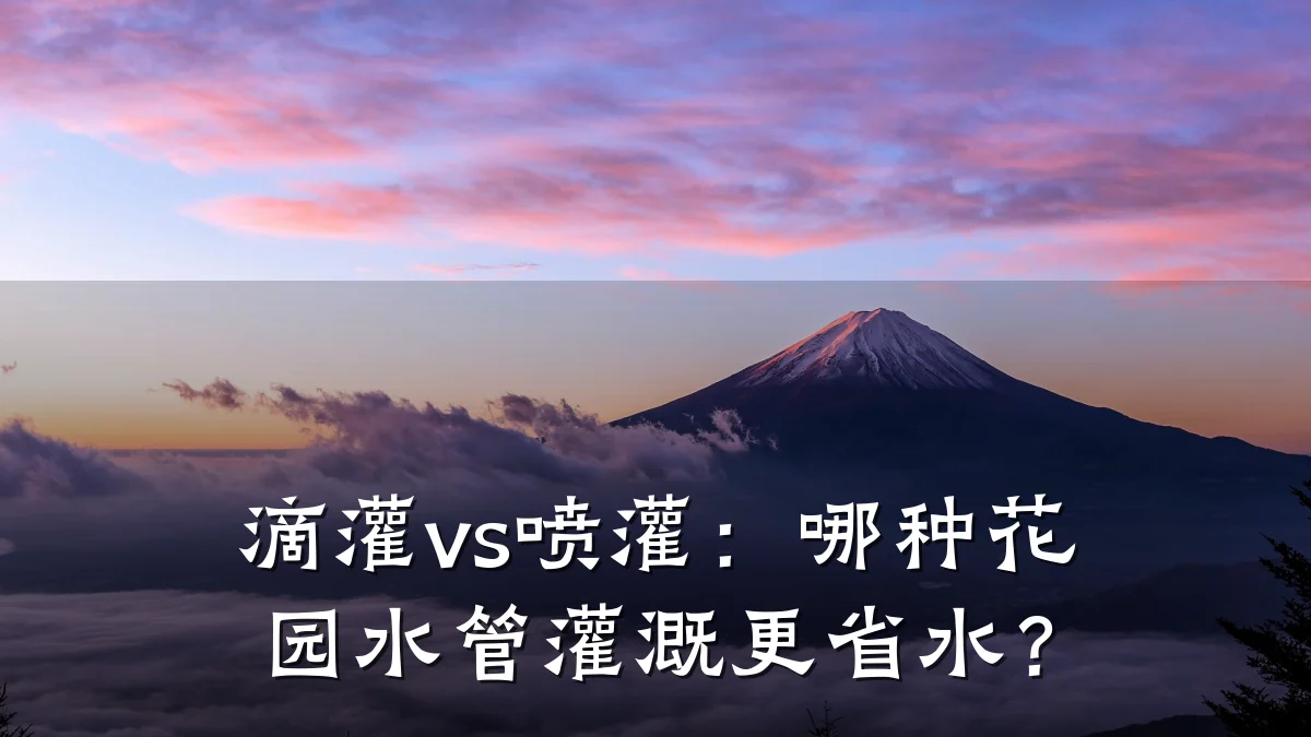 滴灌vs喷灌：哪种花园水管灌溉更省水？