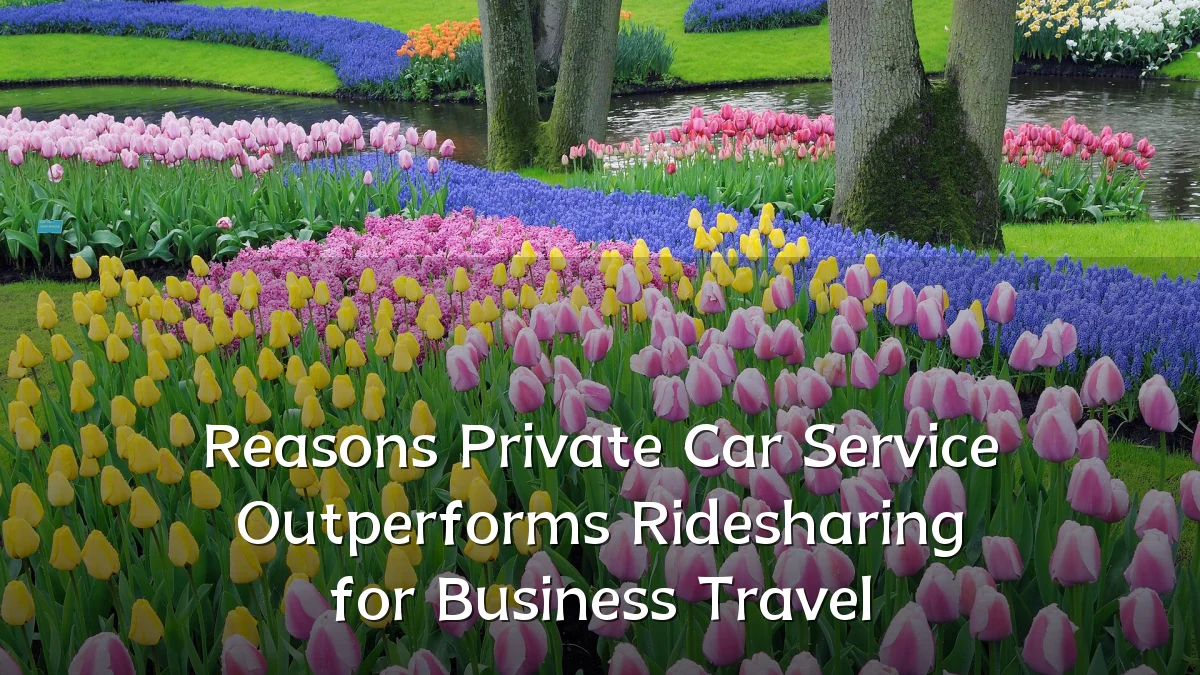 Reasons Private Car Service Outperforms Ridesharing for Business Travel