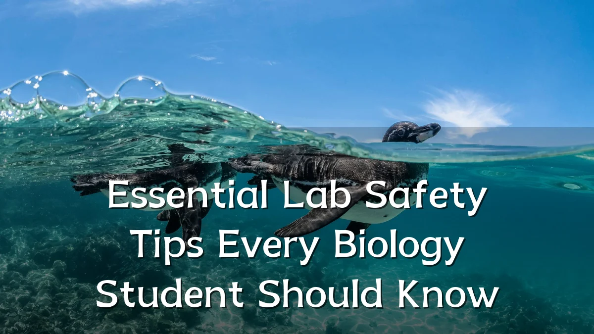 Essential Lab Safety Tips Every Biology Student Should Know