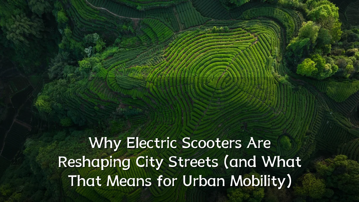 Why Electric Scooters Are Reshaping City Streets (and What That Means for Urban Mobility)