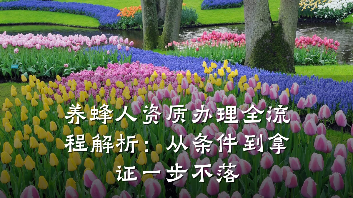 养蜂人资质办理全流程解析:从条件到拿证一步不落