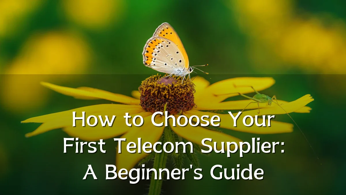 How to Choose Your First Telecom Supplier: A Beginner's Guide
