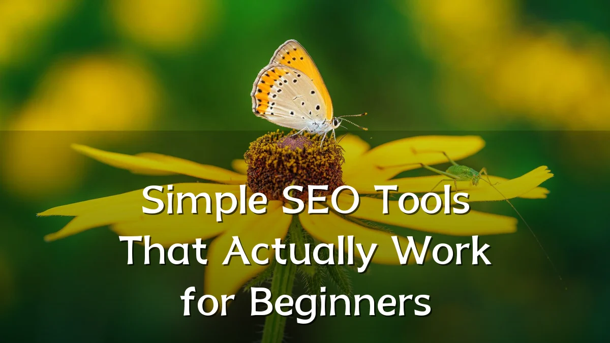 Simple SEO Tools That Actually Work for Beginners