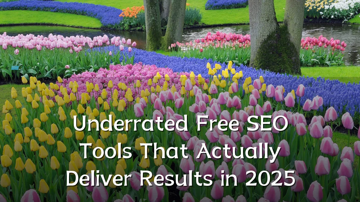Underrated Free SEO Tools That Actually Deliver Results in 2025