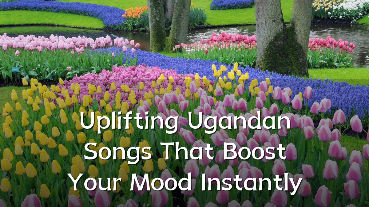 Uplifting Ugandan Songs That Boost Your Mood Instantly