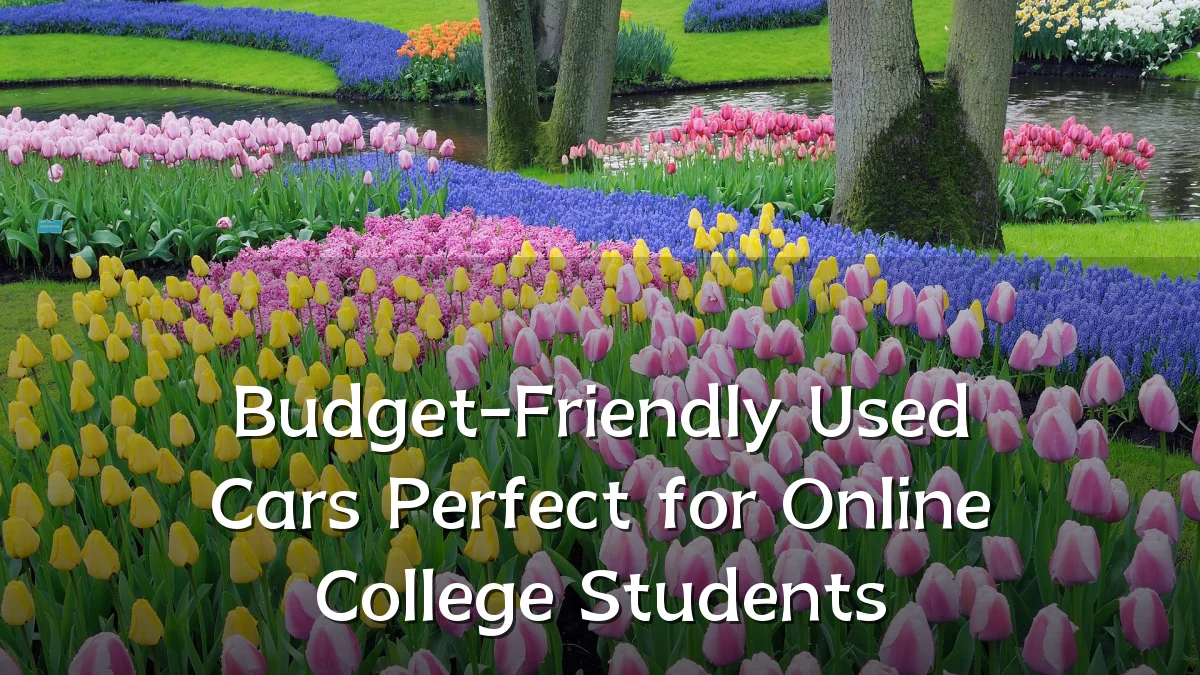 Budget-Friendly Used Cars Perfect for Online College Students