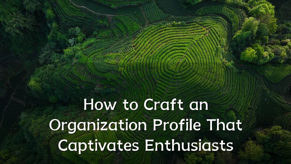 How to Craft an Organization Profile That Captivates Enthusiasts