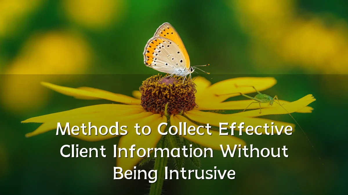 Methods to Collect Effective Client Information Without Being Intrusive