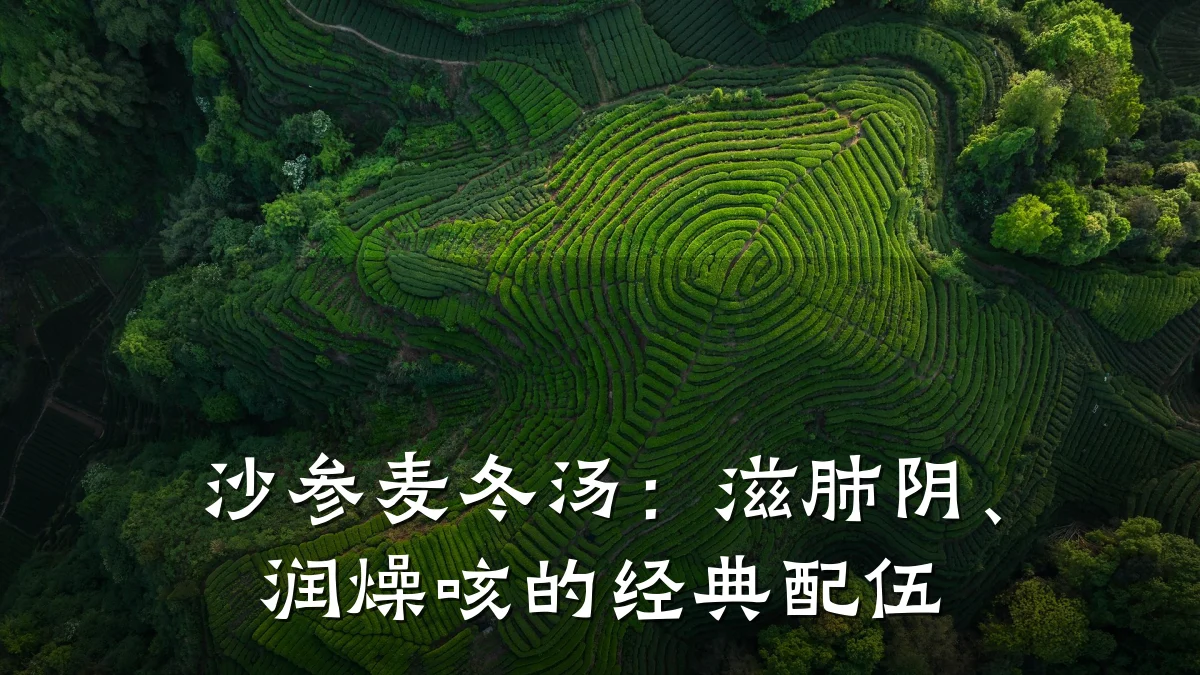 沙参麦冬汤：滋肺阴、润燥咳的经典配伍