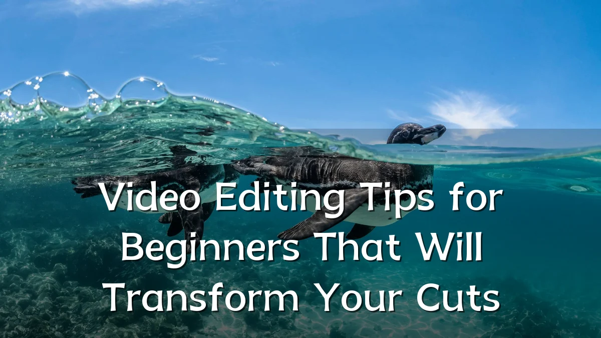 Video Editing Tips for Beginners That Will Transform Your Cuts