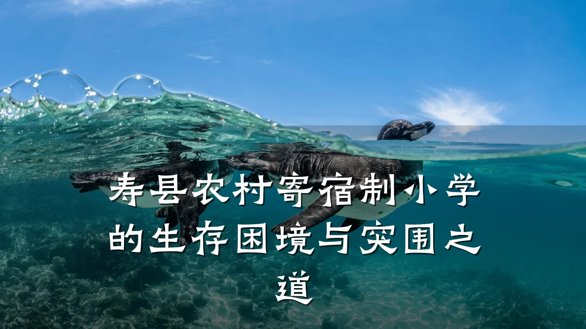 寿县农村寄宿制小学的生存困境与突围之道