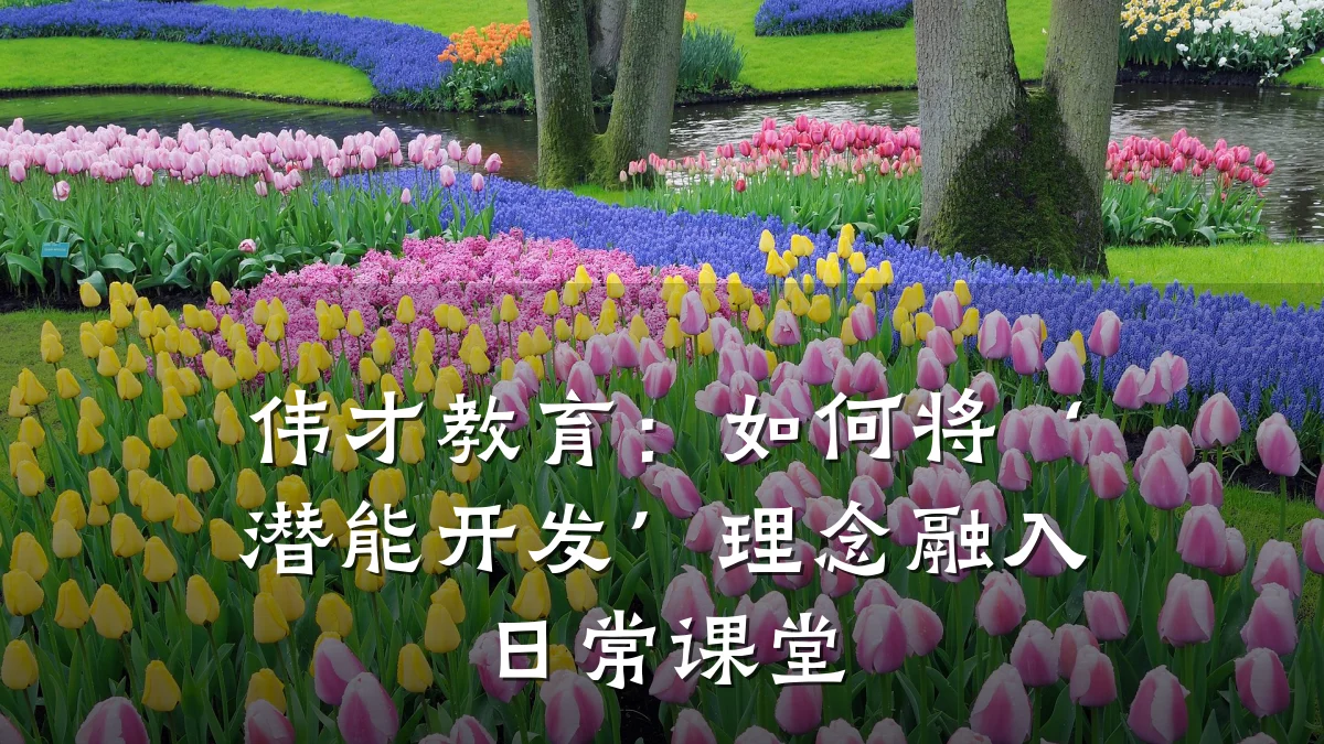 伟才教育：如何将‘潜能开发’理念融入日常课堂