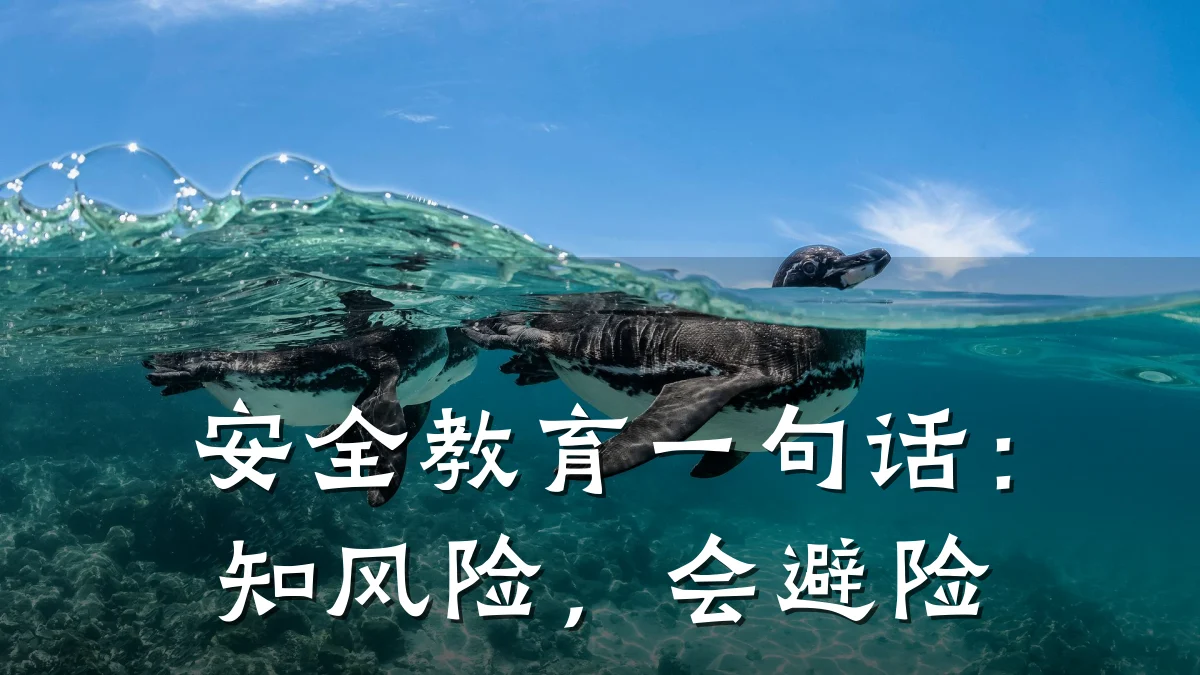 安全教育一句话:知风险,会避险