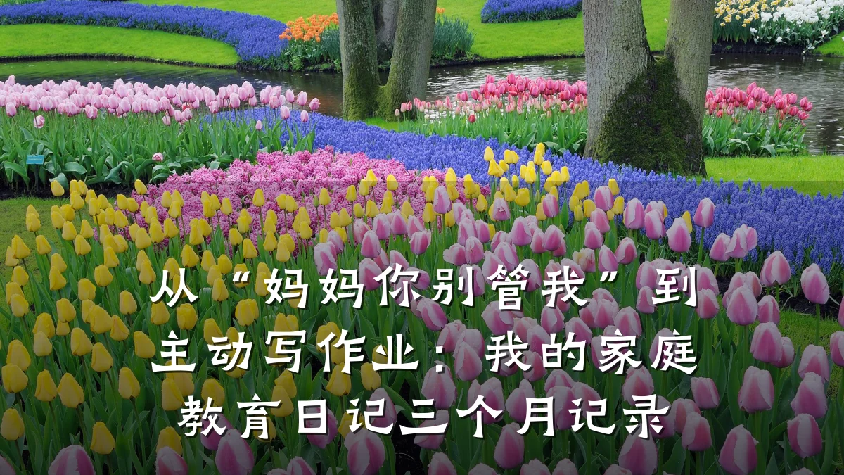 从“妈妈你别管我”到主动写作业:我的家庭教育日记三个月记录