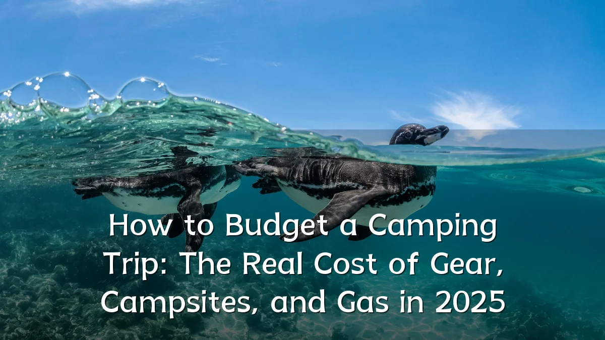How to Budget a Camping Trip: The Real Cost of Gear, Campsites, and Gas in 2025