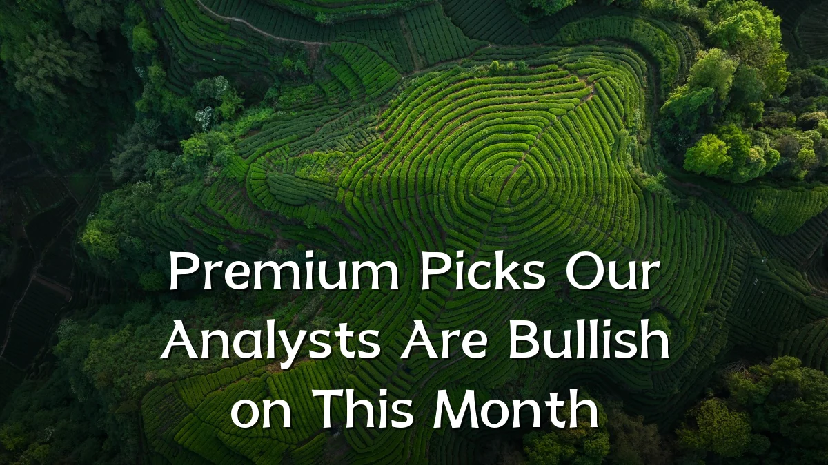 Premium Picks Our Analysts Are Bullish on This Month